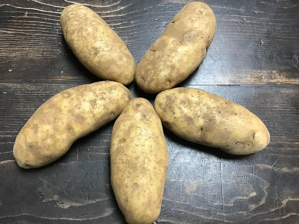 Fresh - Russet Potatoes (Priced Per lb)